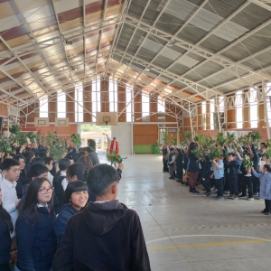 Celebración Domingo de Ramos